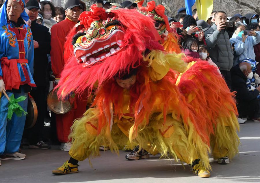 蘭州北獅表演現(xiàn)場。受訪者供圖