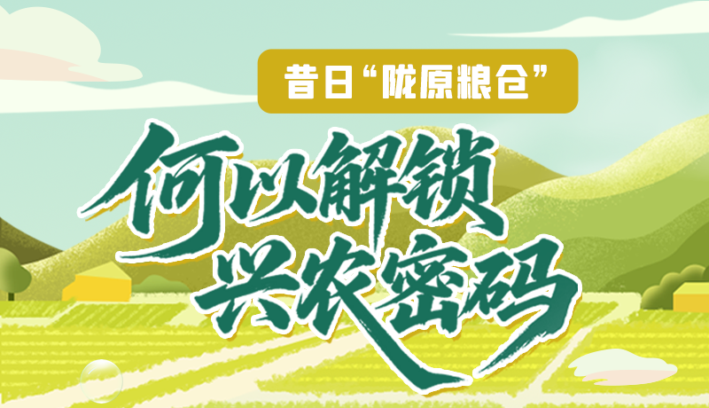【理響中國(guó)·話隴點(diǎn)睛（3）】昔日“隴原糧倉(cāng)”，何以解鎖“興農(nóng)密碼”