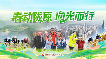 【專題】春動(dòng)隴原 向光而行 